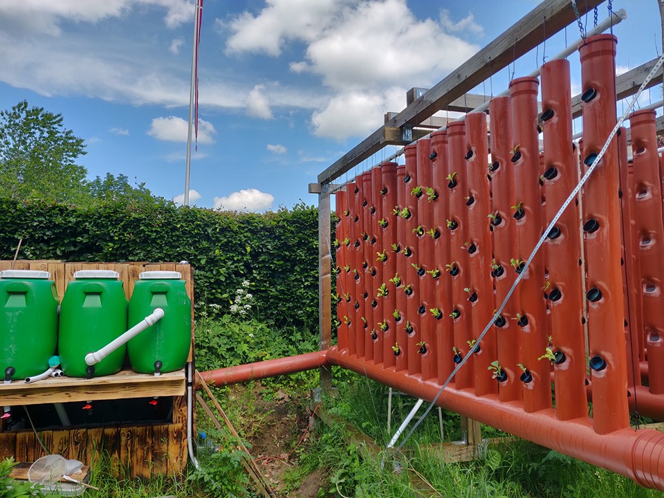 Få viden om, hvordan du selv kommer i gang med aquaponics project image